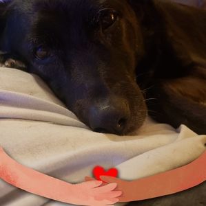 Meet your Posher, Alicia